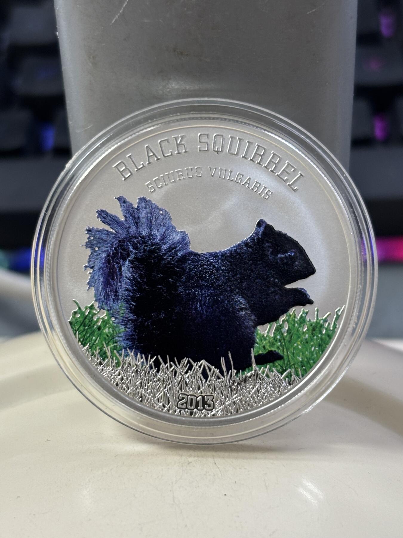 第182期拍卖 库克2013年珍稀动物黑松鼠彩色精制银币，925银，20克，发行999枚