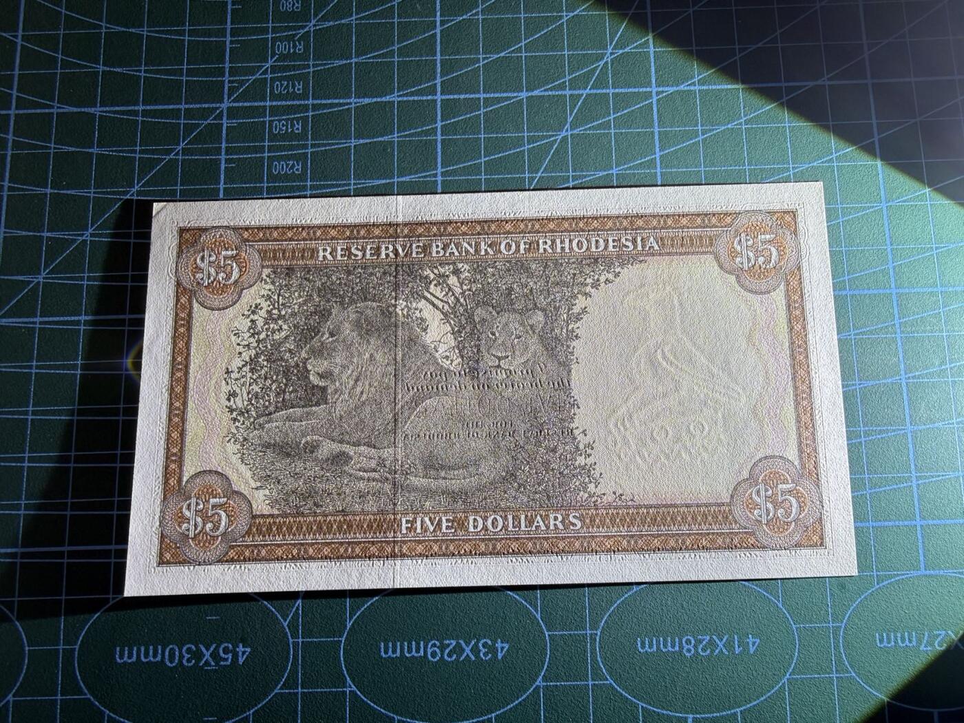 【炜奕收藏】，第五十一期 1979年罗德西亚5元，UNC-品相，轻微角折