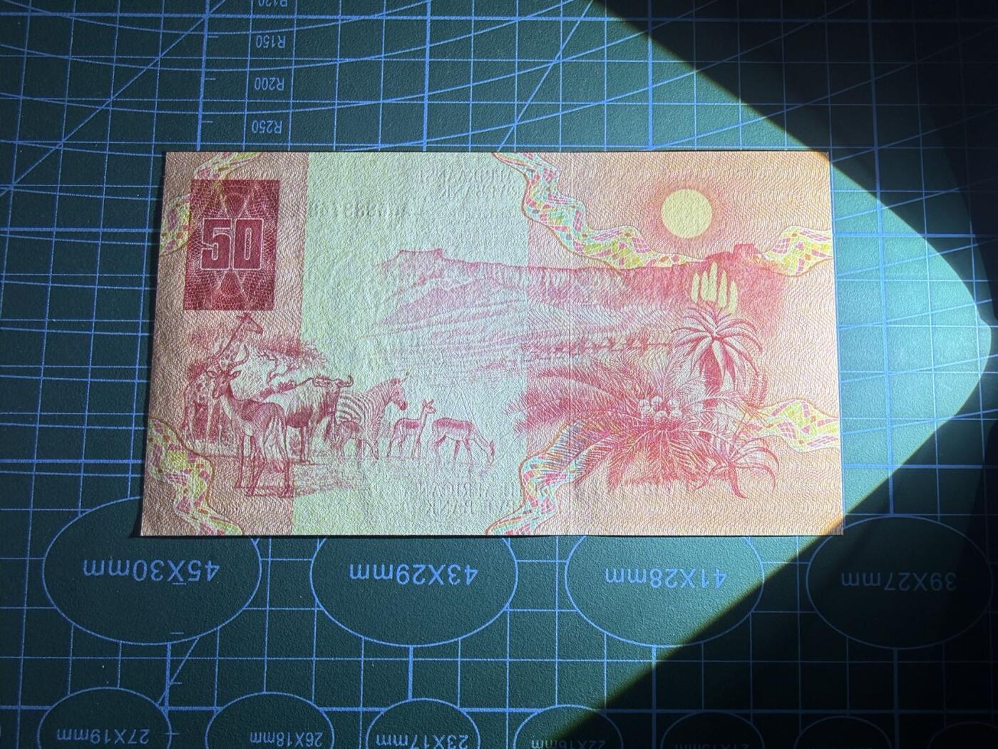 【炜奕收藏】，第五十一期 1984年南非50兰特，a版，UNC品相，中夹豹子号尾8