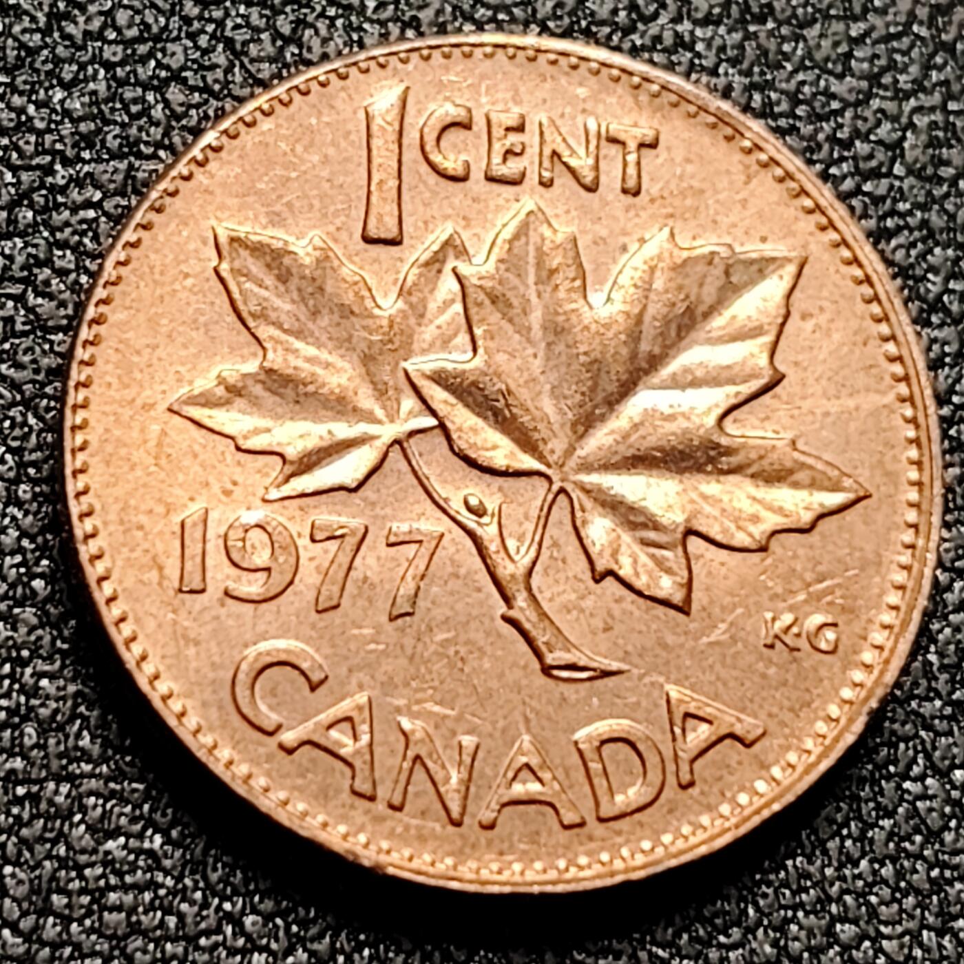 泉币菌-第134场-精品福利场 。