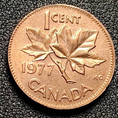 泉币菌-第134场-精品福利场 -  加拿大1分枫叶 直径19.05mm女王