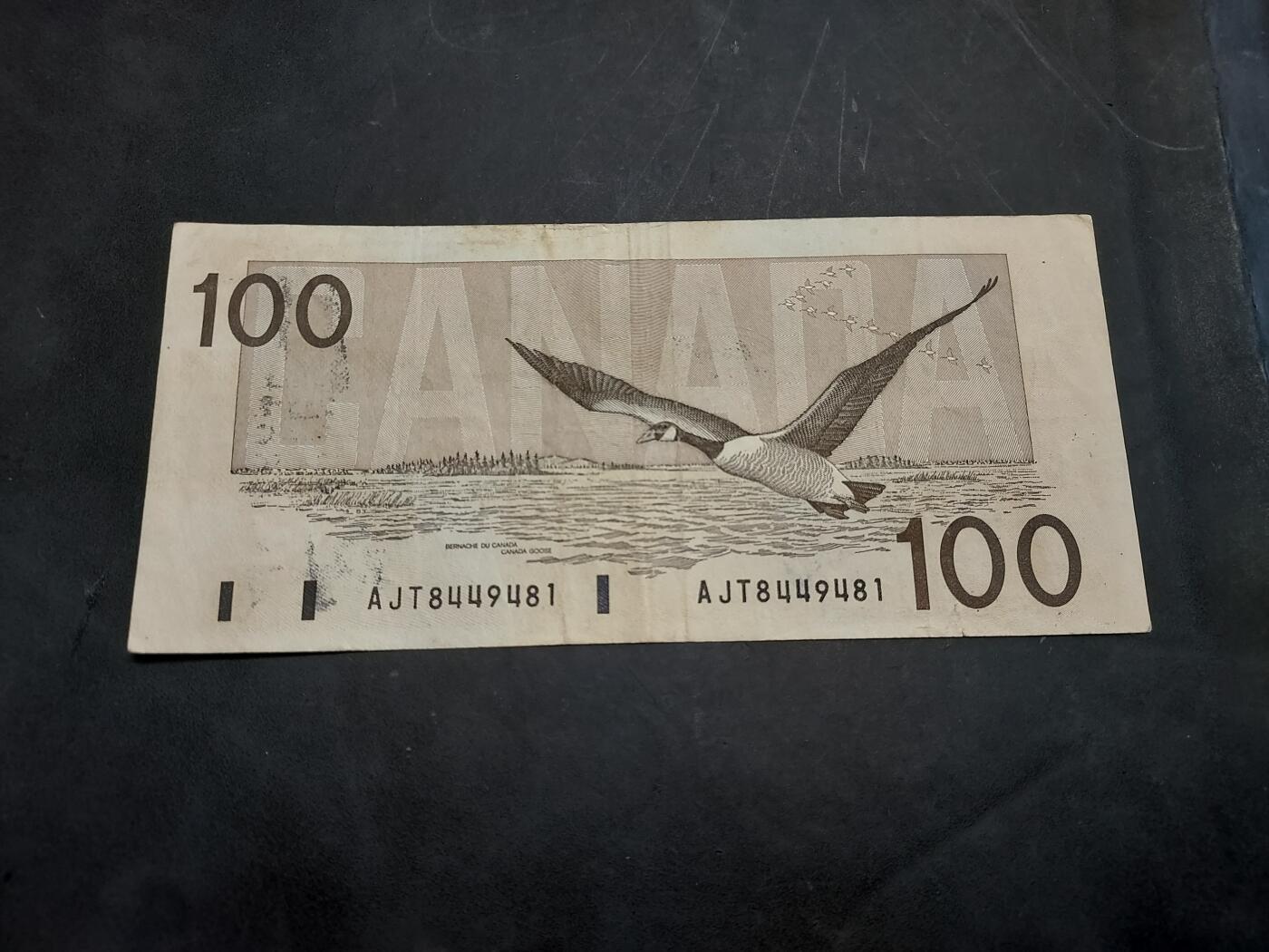 博彦收藏   11月24日 8点 钱币专场 1988 加拿大鸟版 100元 流通品