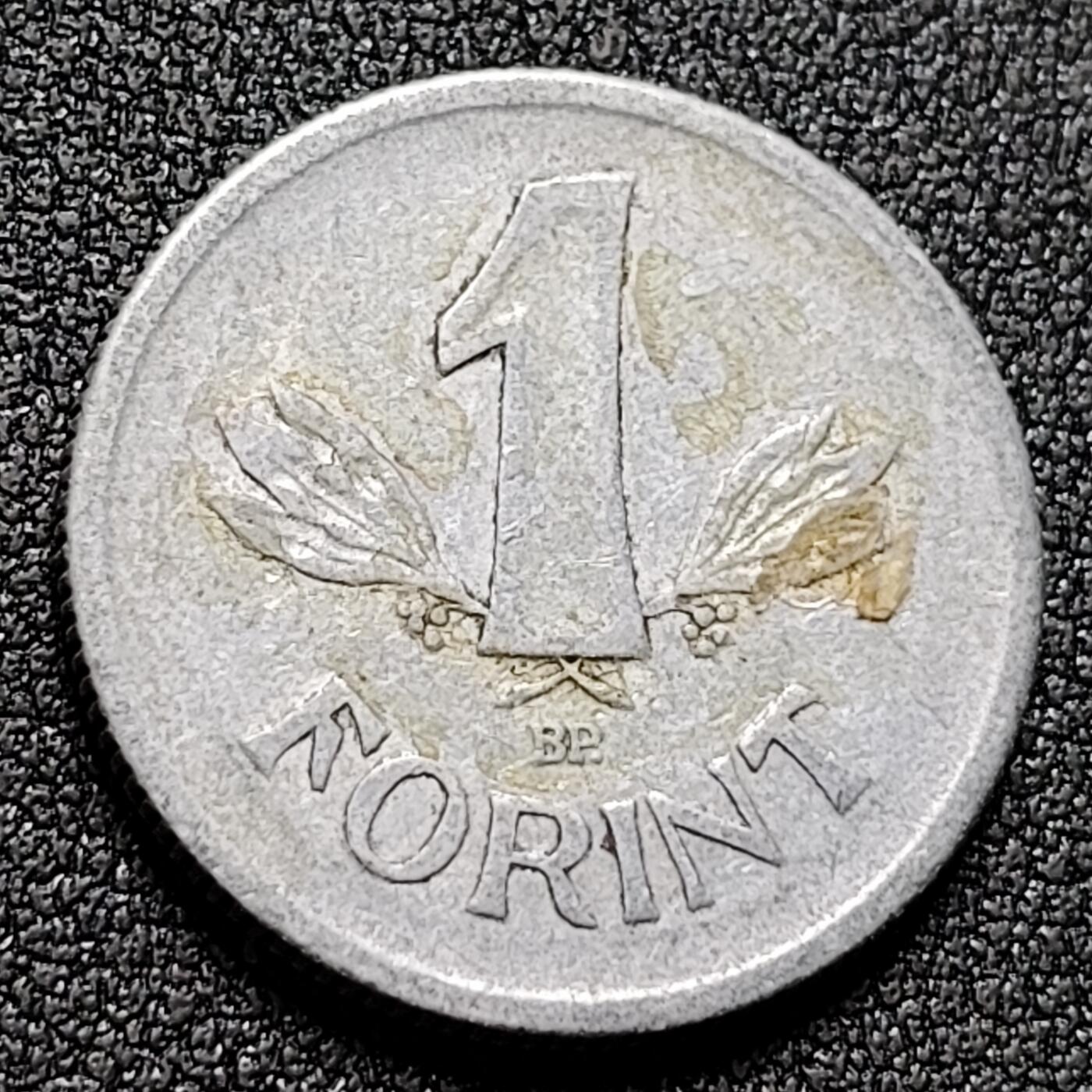 泉币菌-第134场-精品福利场 。