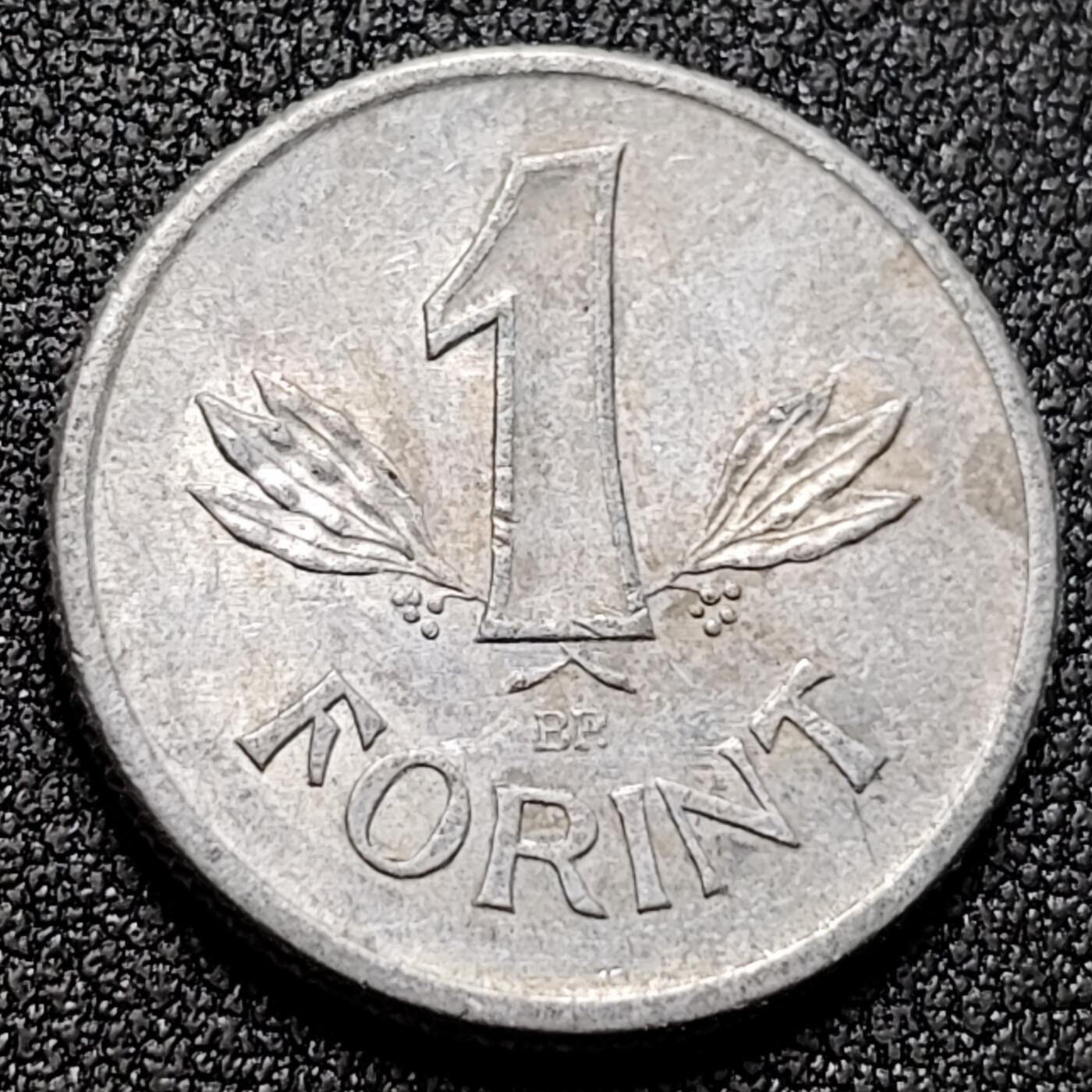 泉币菌-第134场-精品福利场 。