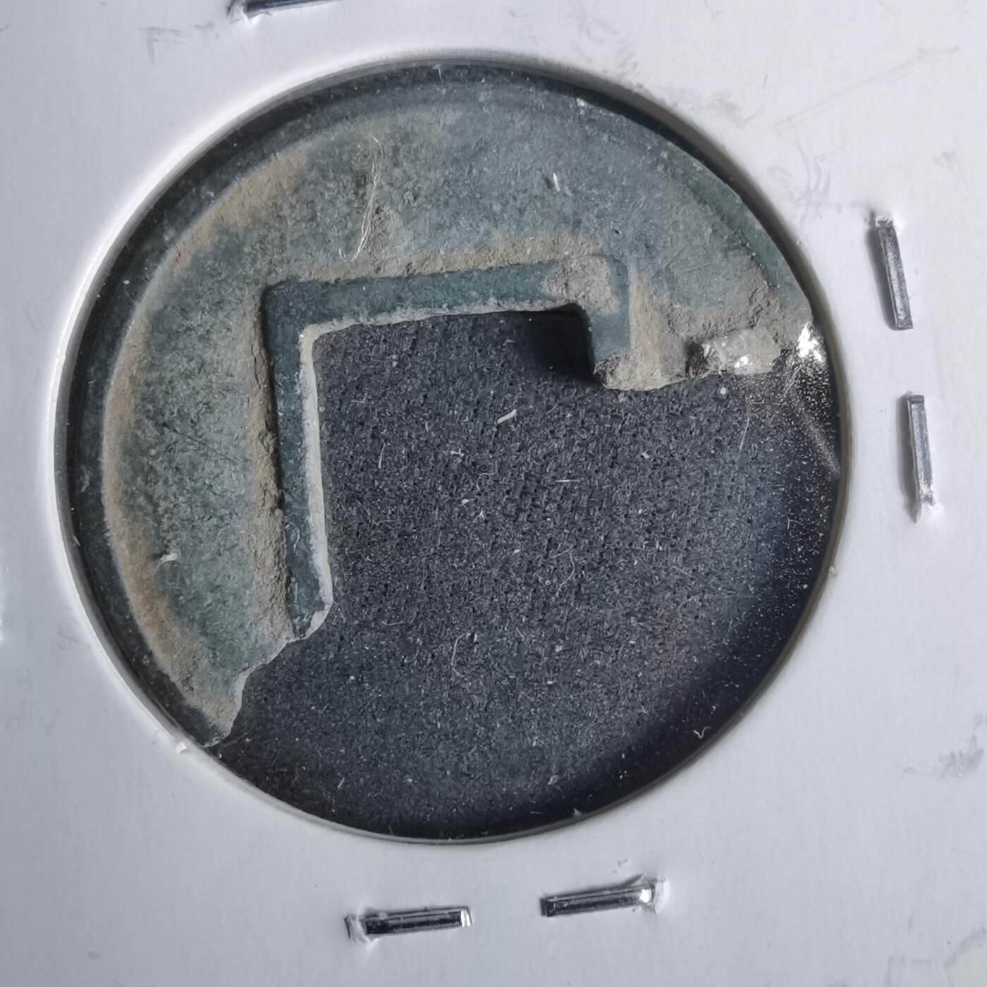 沼泽如烟--第911场 常平五铢标本