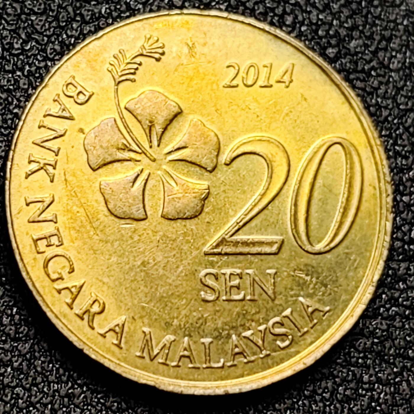 泉币菌-第134场-精品福利场 。