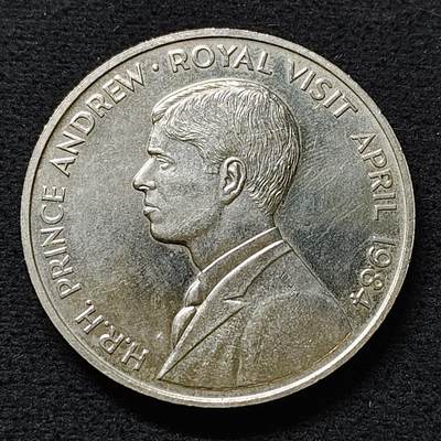 【全场包邮】纯粹捡漏拍486场（免费代拍第23场） - 阿松森群岛1984年50便士安德鲁王子皇家访问克朗型纪念币