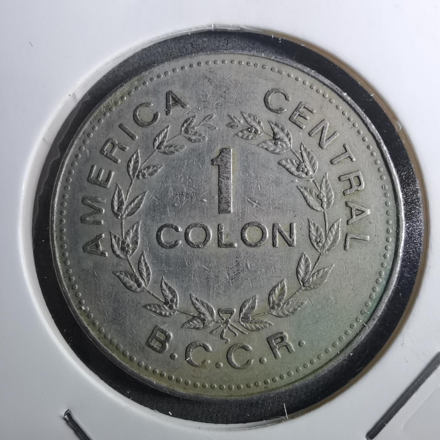 沼泽如烟--第910场