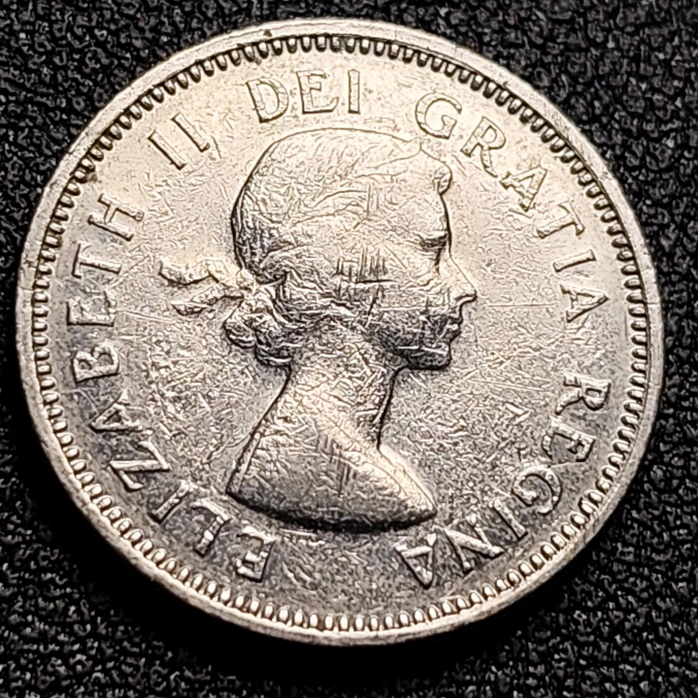 泉币菌-第135场-精品福利场 。