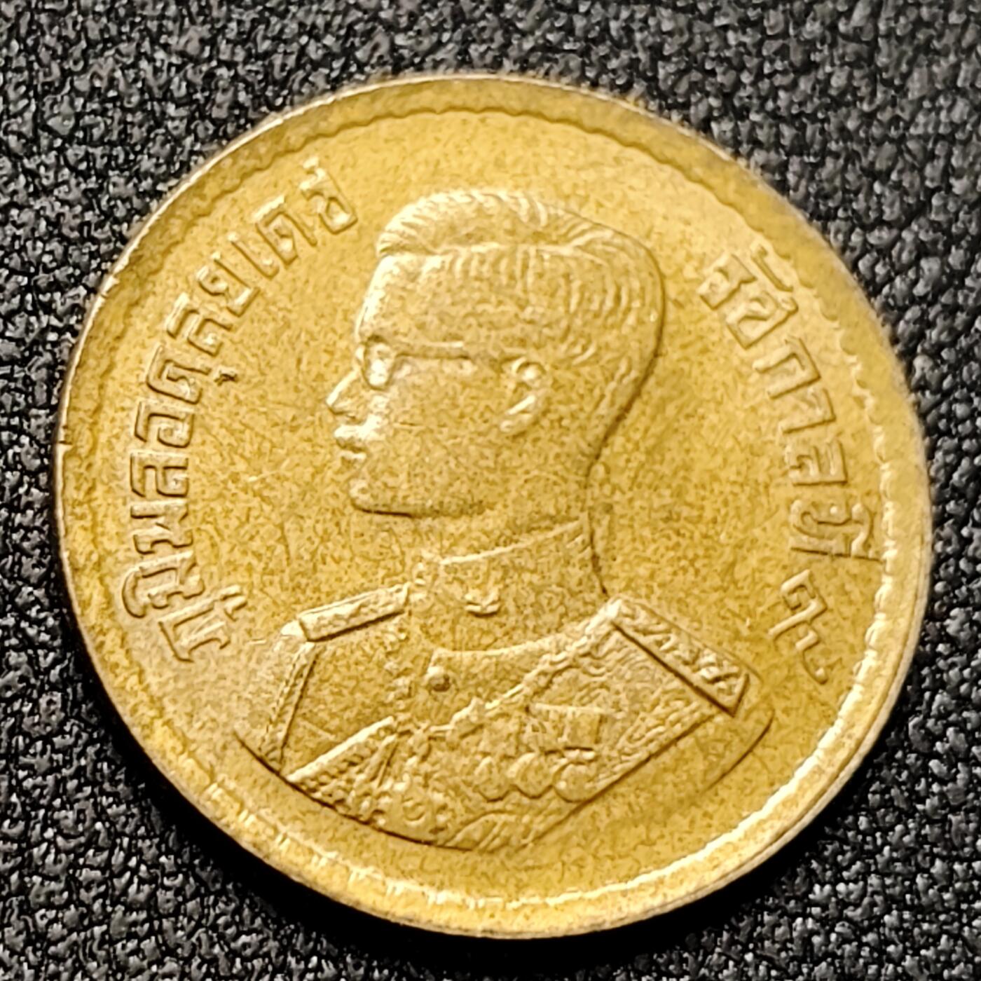 泉币菌-第135场-精品福利场 。