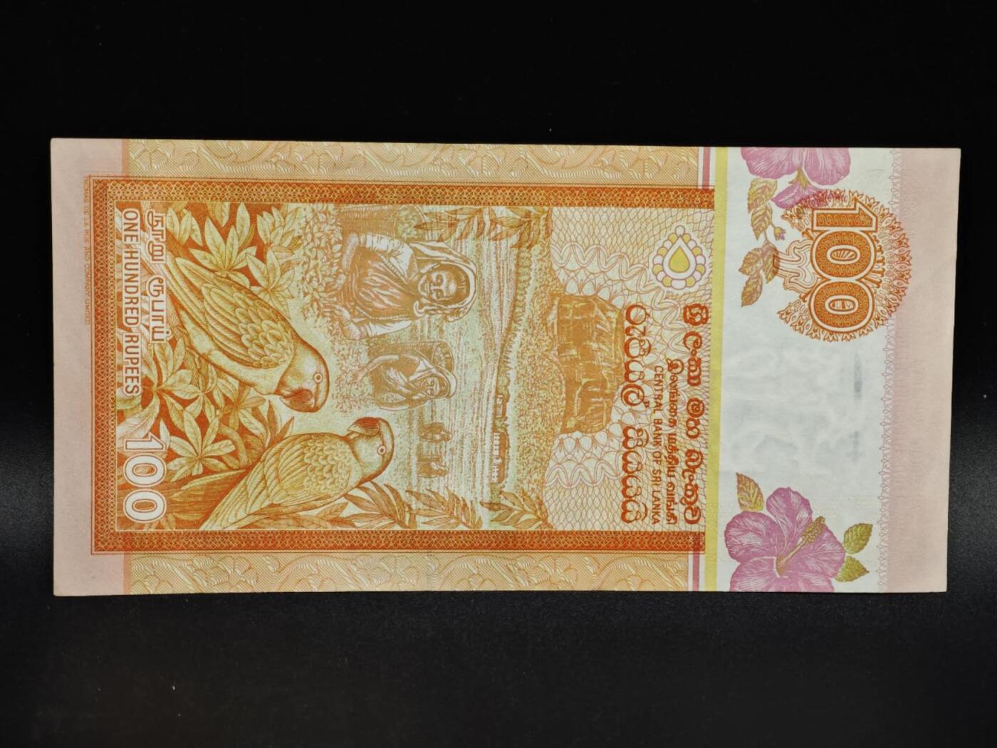 【淘币小摊】限时拍第八百零五拍  纸币场  满百包邮可预留两周  周一统一发货  斯里兰卡2006年100卢比纸币【有折】