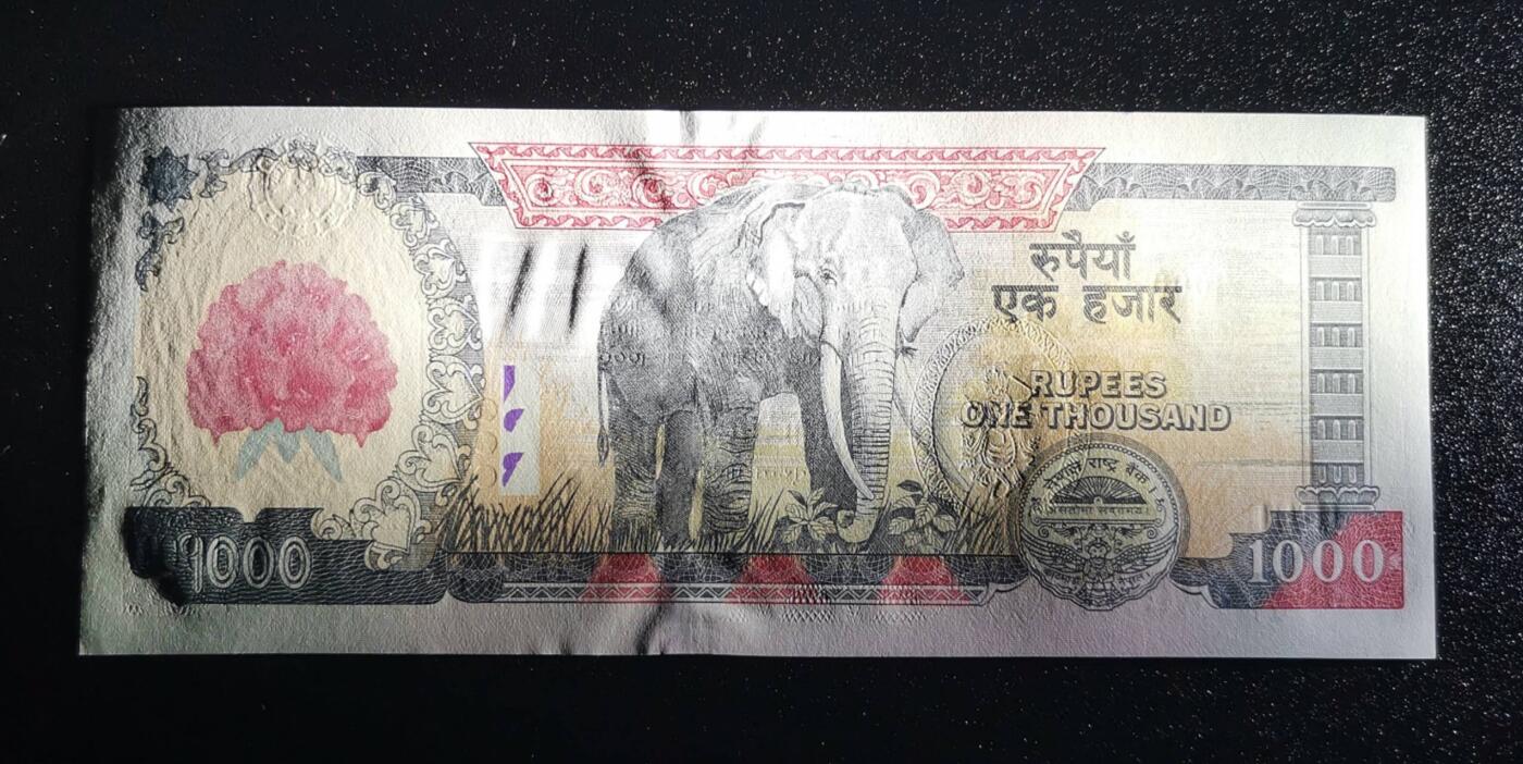 《艾美收藏》第221期-11.23周日黄金场精品荟萃 尼泊尔2008年1000卢比最高值UNC 珠穆朗玛峰 大红花 背面大象 Pick#67b