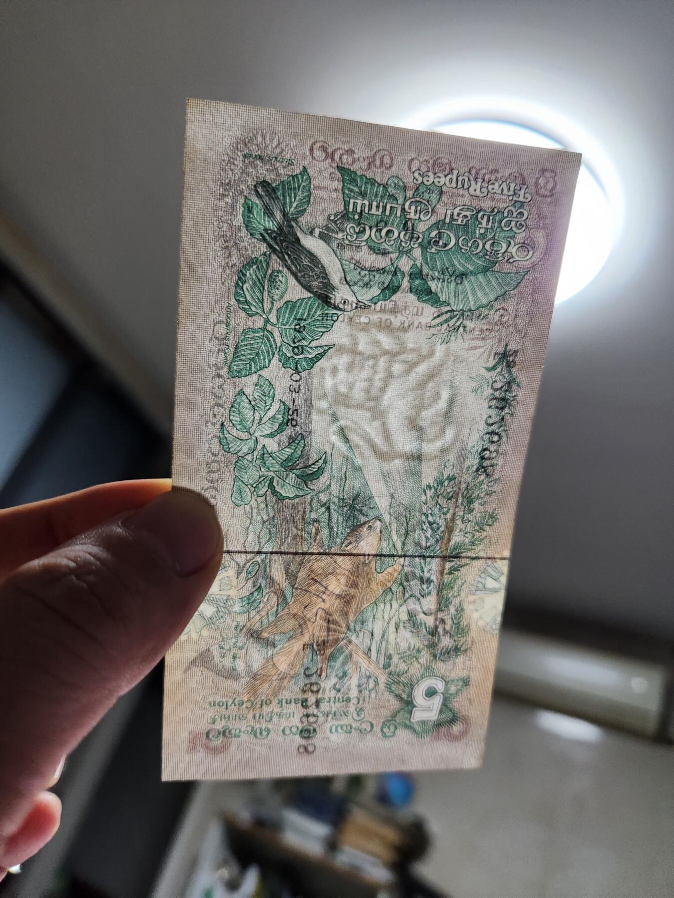 11月29号晚上8点 外国纸币自动截拍第64场