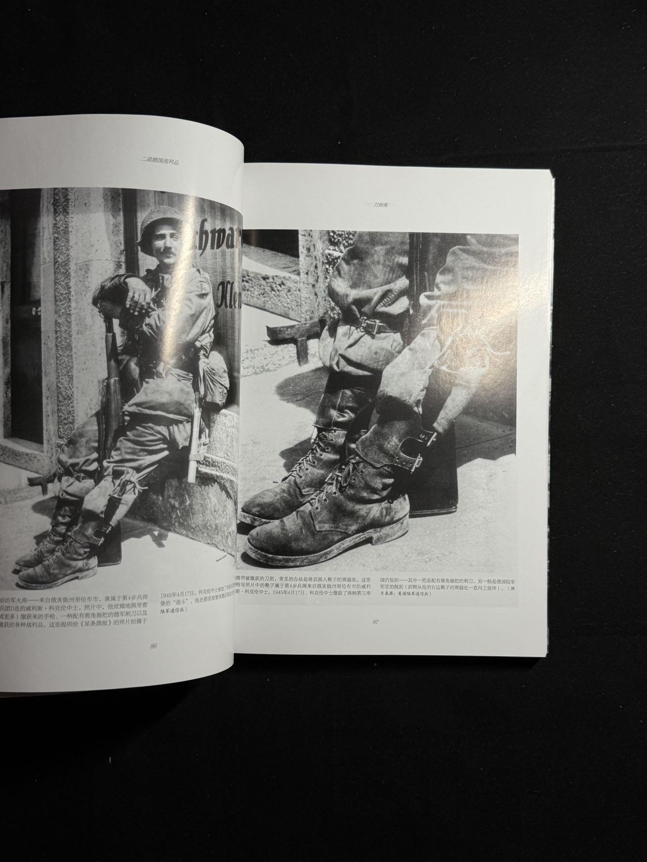 戎马世界章牌大赏第108期 二战德国历史物品参考书