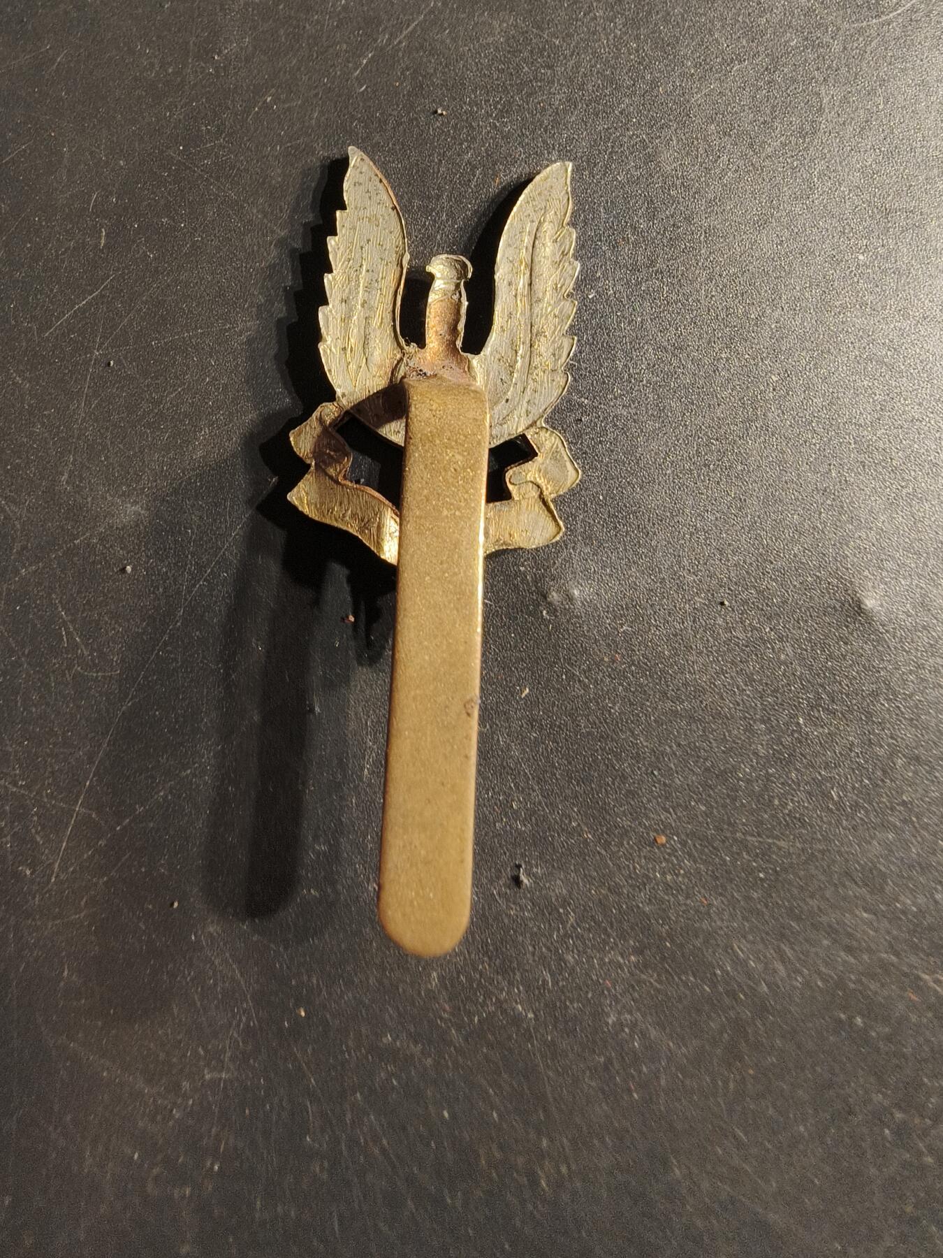 老王徽章第165期 英国SAS特别空勤团帽徽     二战 