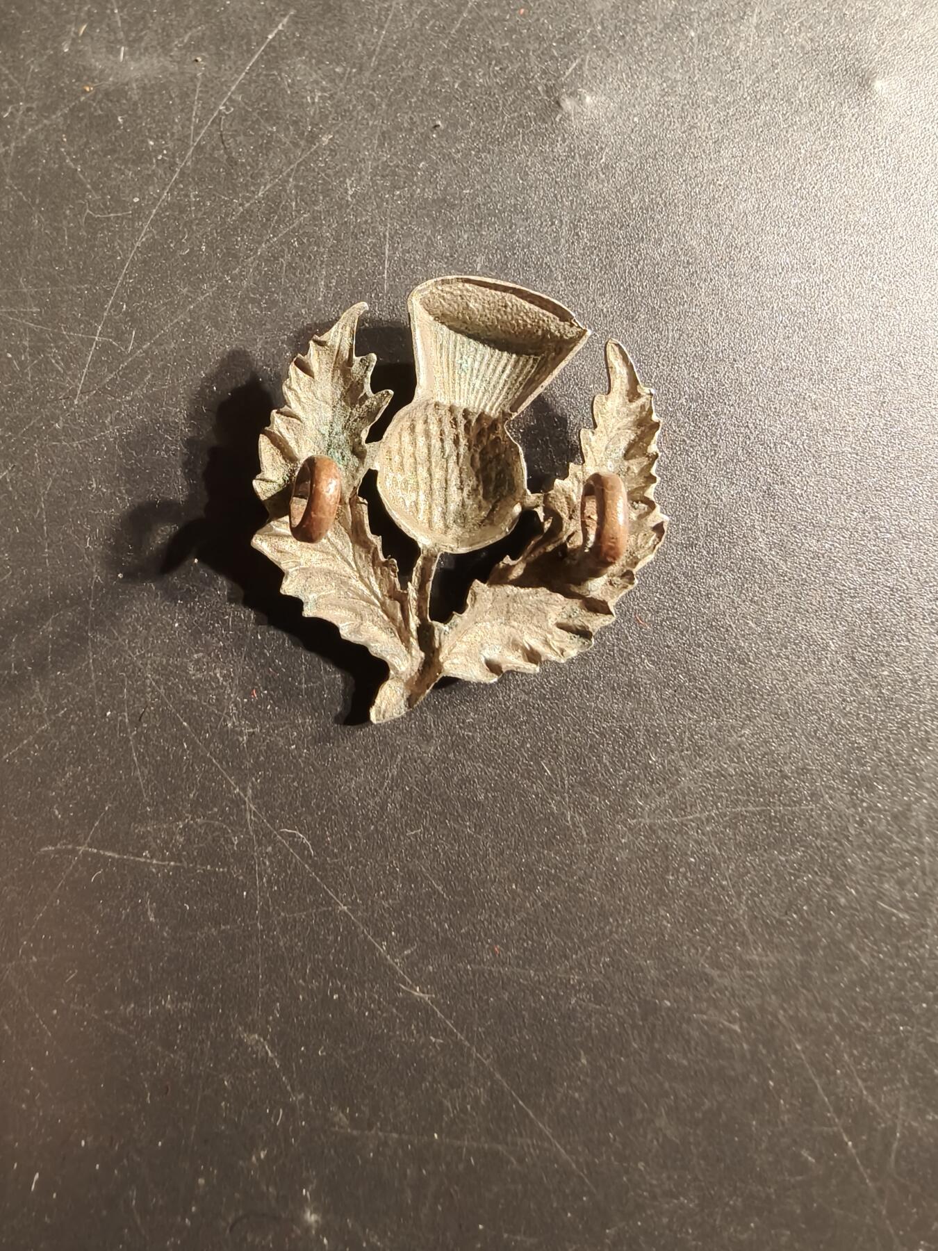 老王徽章第165期