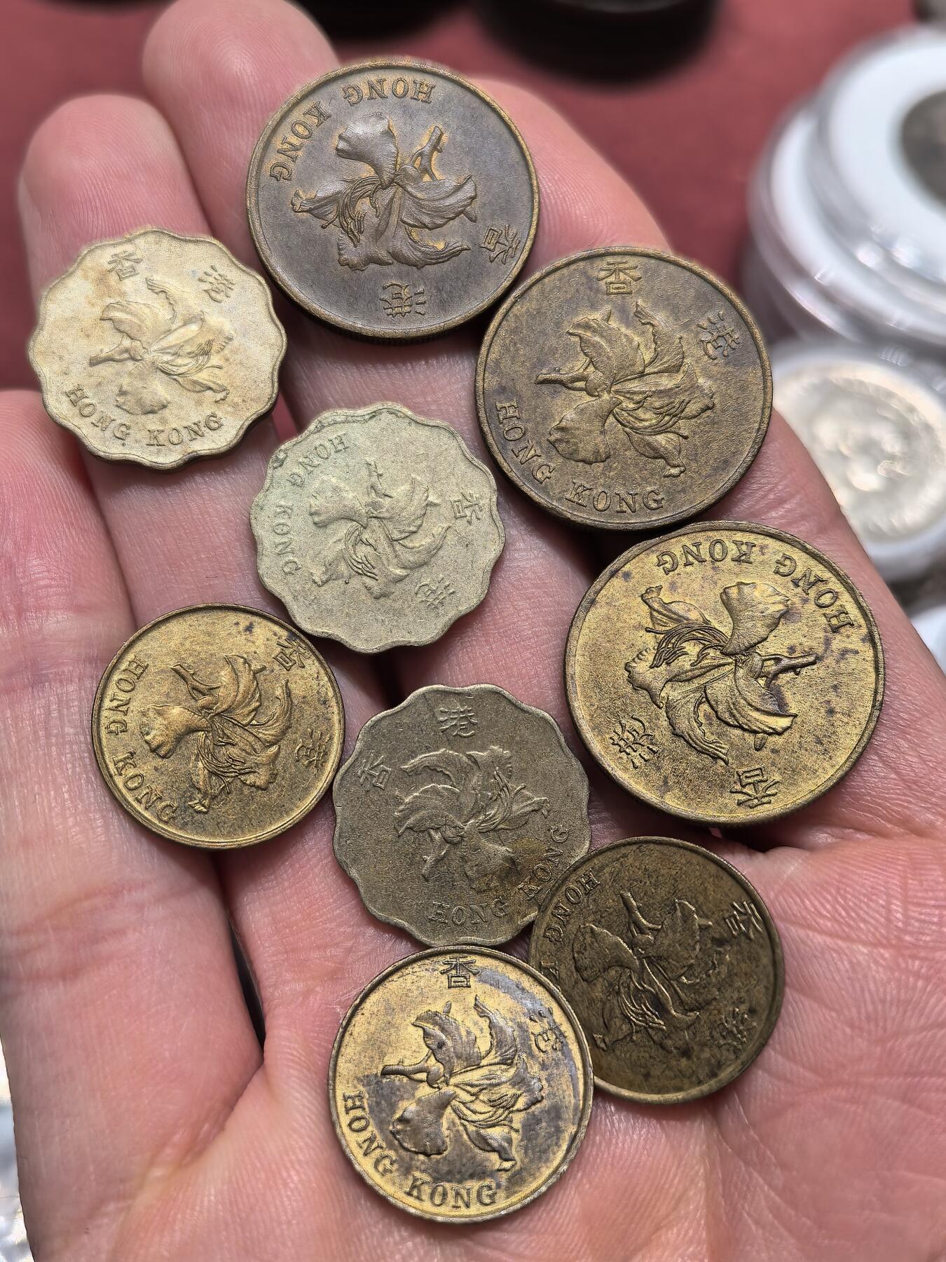 南宋泉阁俄币 外币 国币 专场第十九期 【送拍无额外佣金】