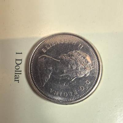 泡泡币外币第三十四场可代拍15038385335微信 - 加拿大原光硬币。