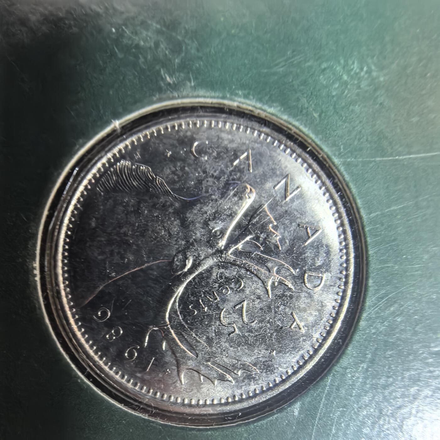 泡泡币外币第三十四场可代拍15038385335微信