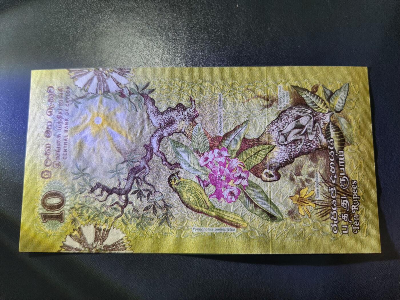 11月29号晚上8点 外国纸币自动截拍第64场