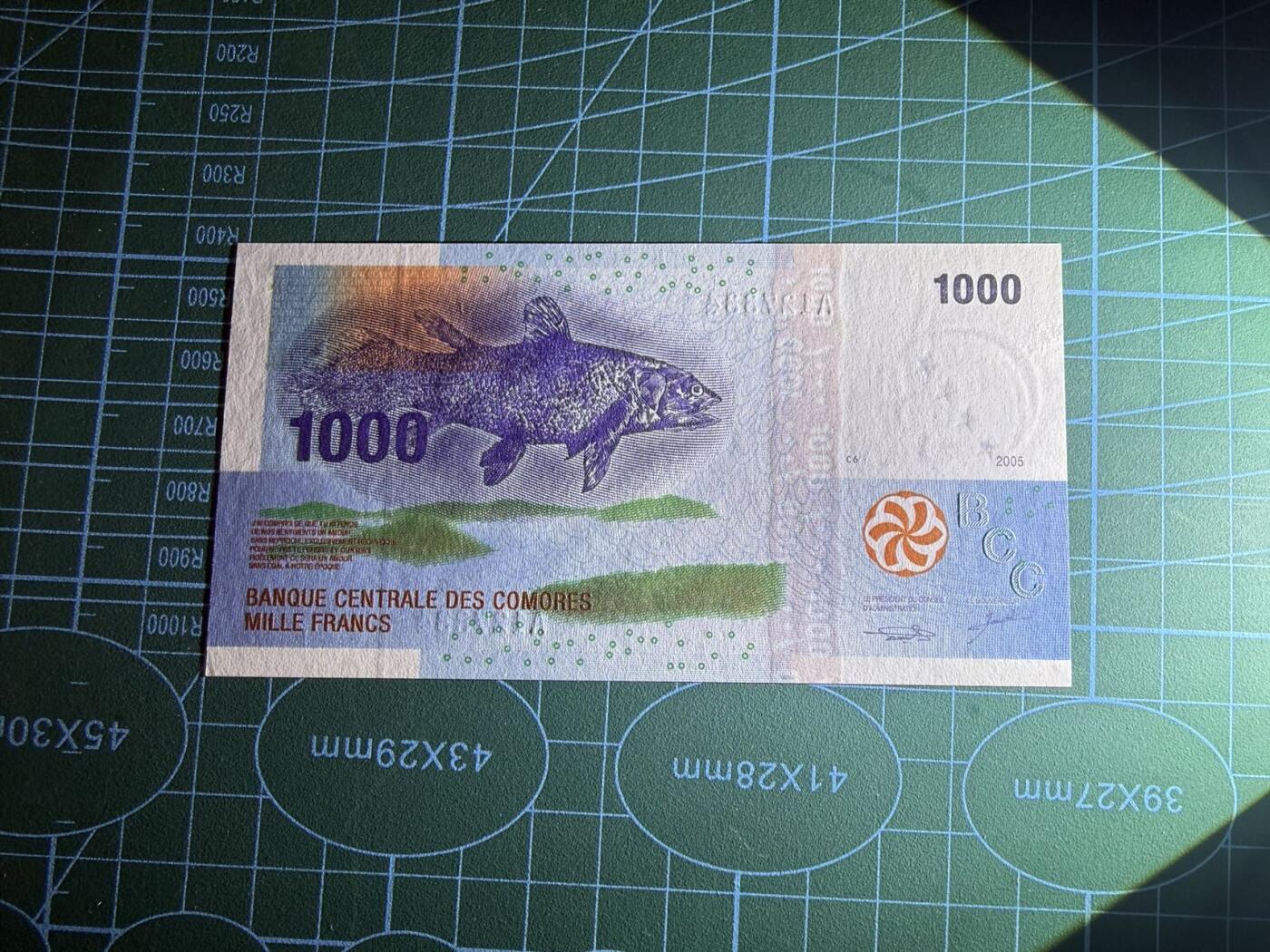 【炜奕收藏】，第五十一期