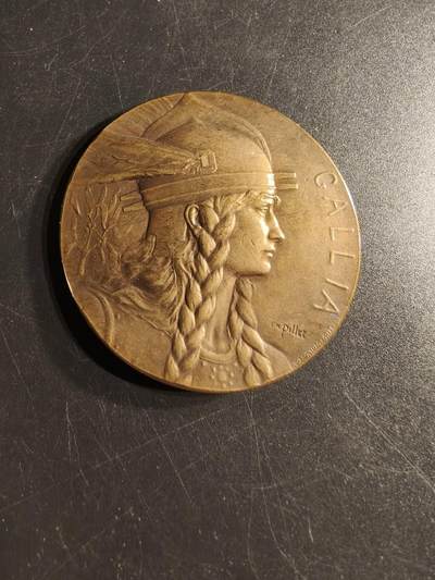 老王徽章第165期 - 法国波尔多［新报］大铜章     正面为高卢人形象   大师皮列名作     直径50mm.    重量56.9g