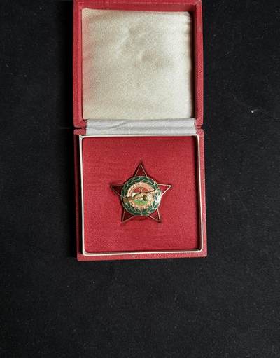 戎马世界章牌大赏第108期 - 匈牙利工人卫士奖章