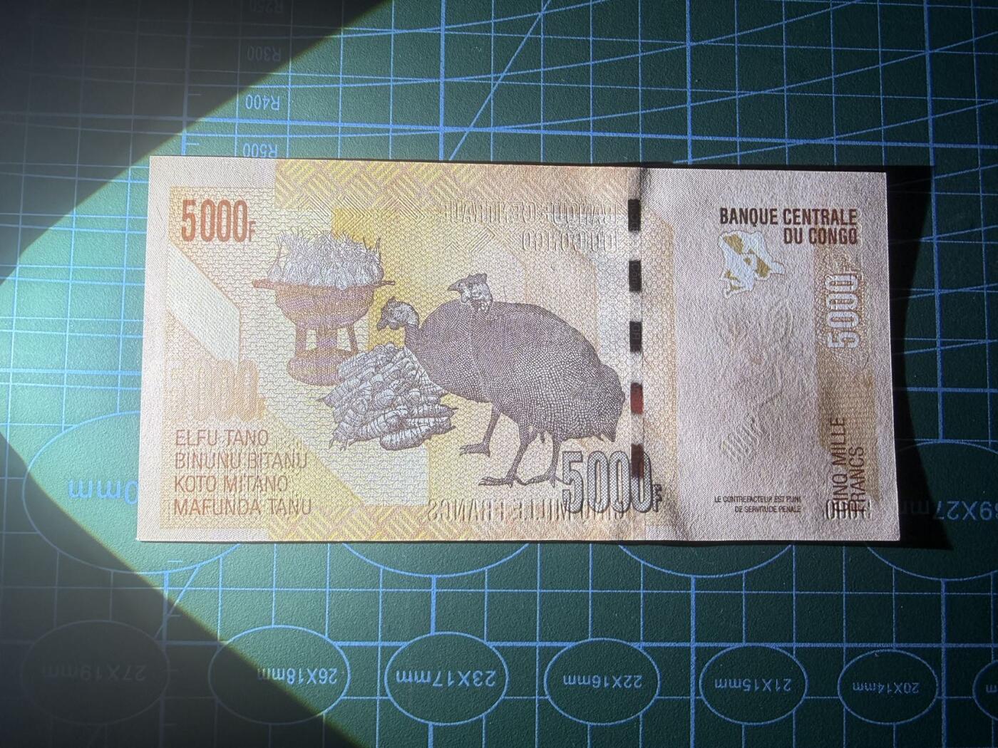 【炜奕收藏】，第五十一期