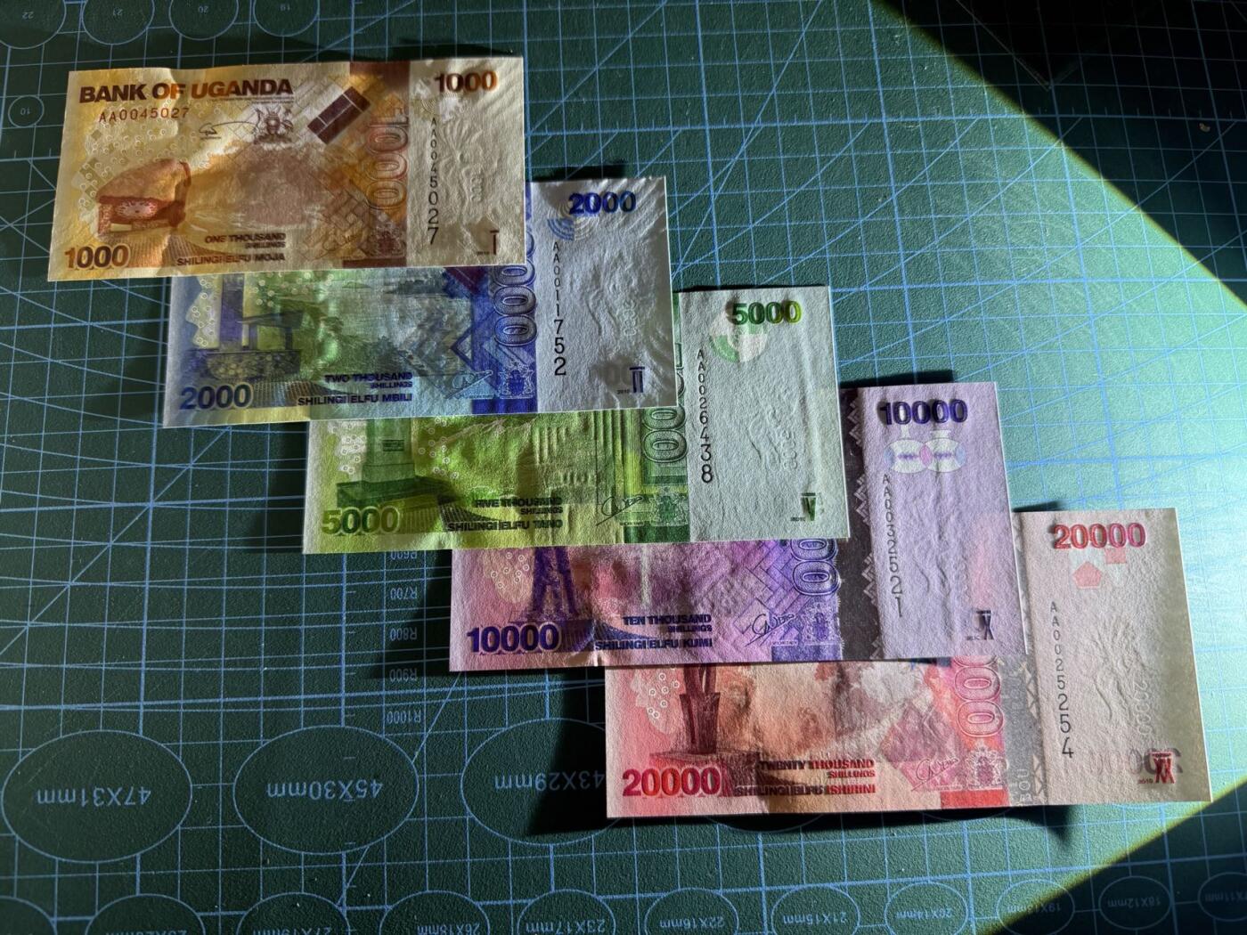 【炜奕收藏】，第五十一期