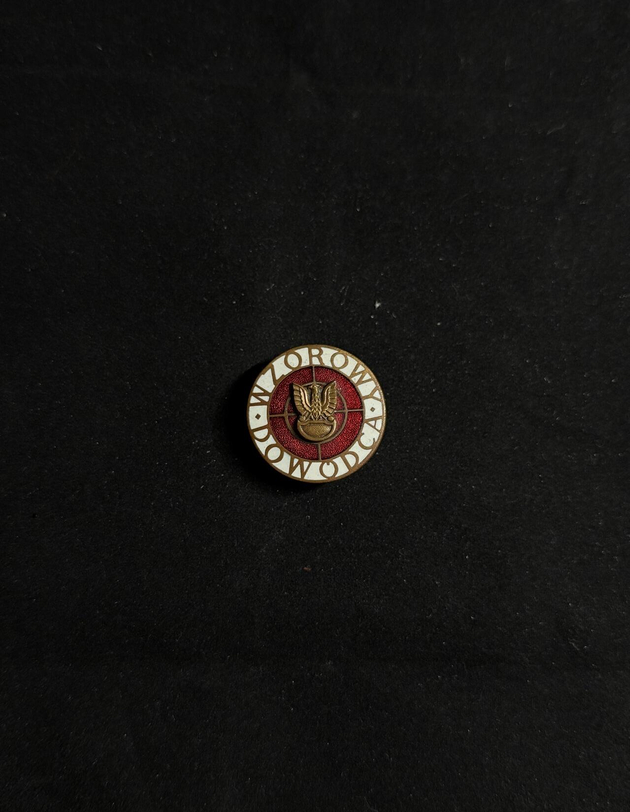 戎马世界章牌大赏第108期 波兰证章