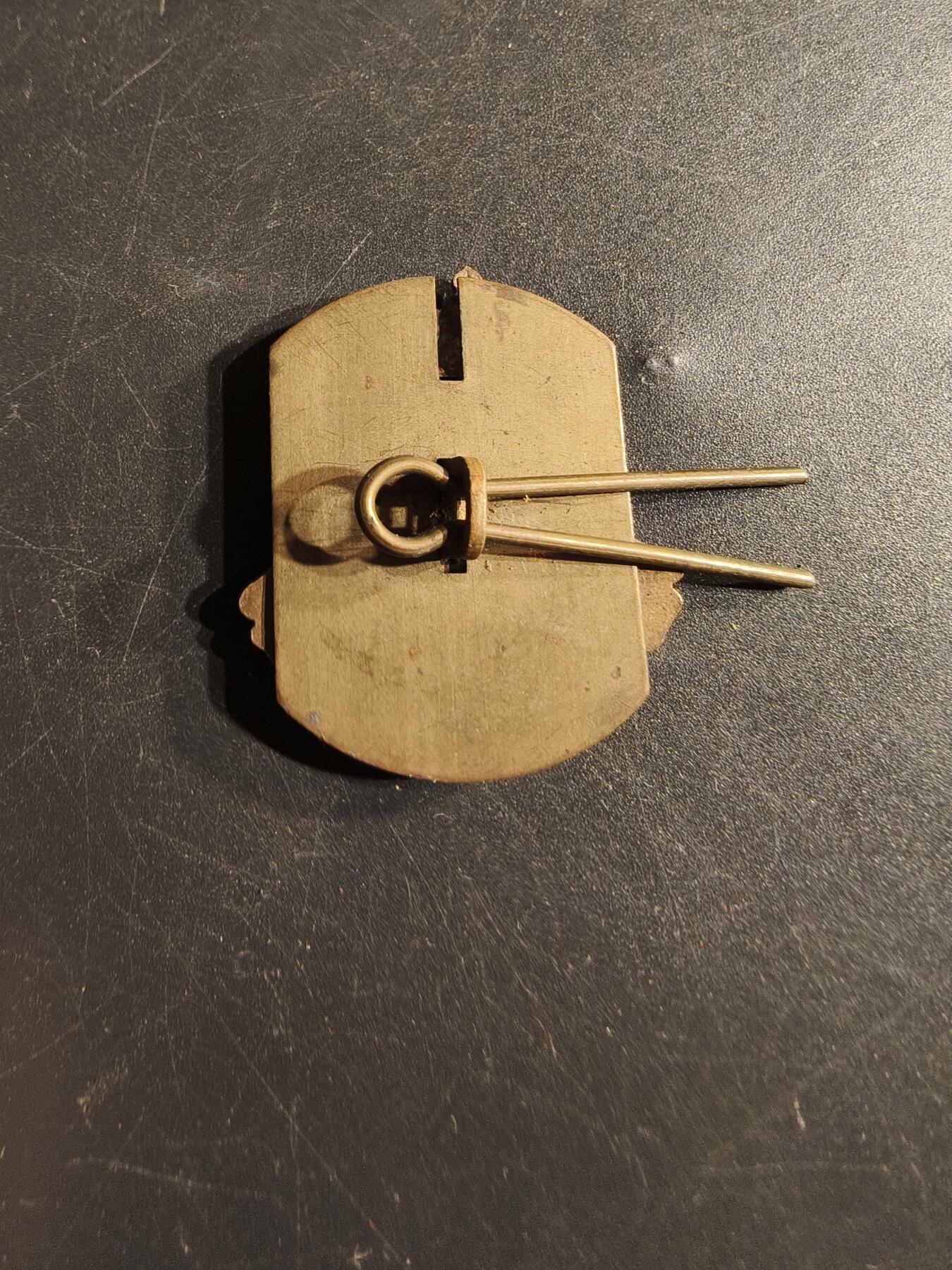 老王徽章第165期