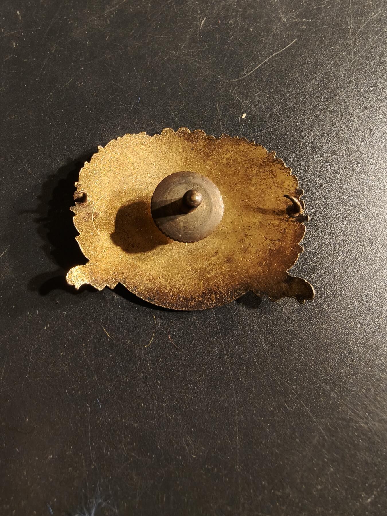 老王徽章第165期 美国肯塔基军事学院大檐帽帽徽 