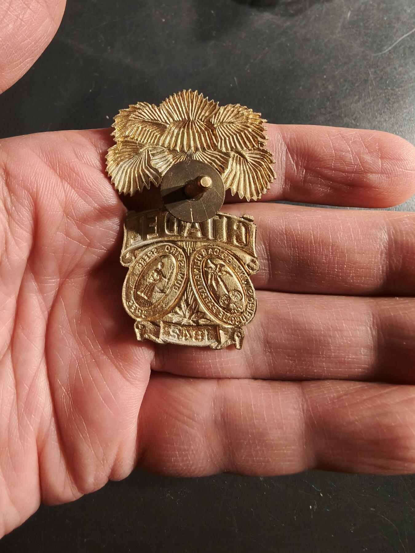 老王徽章第165期 美国南卡罗来纳军事学院大檐帽帽徽