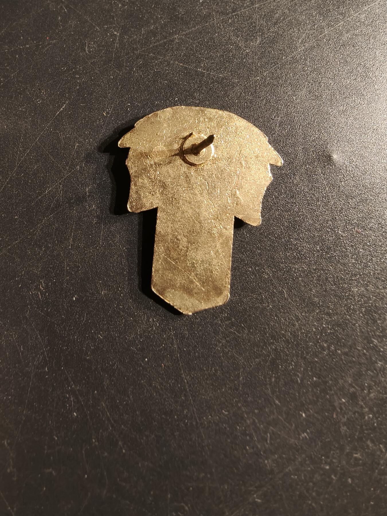 老王徽章第165期 美国寻找战争失踪老兵徽章