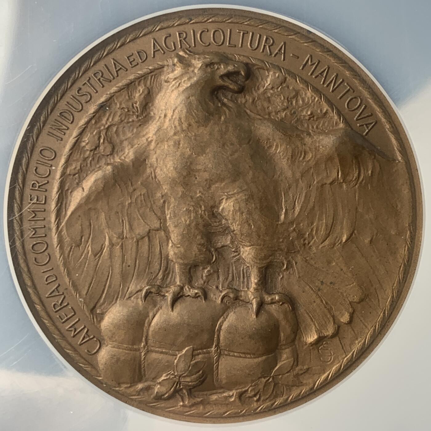 掌中浮雕-藏着的欧洲第043场 NGC MS64 ：意大利伦巴第大区曼托瓦工农业联合商会奖章，51mm，稀少