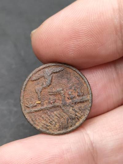 猩哥外币小铺➨【第203场】 - 铜扣子