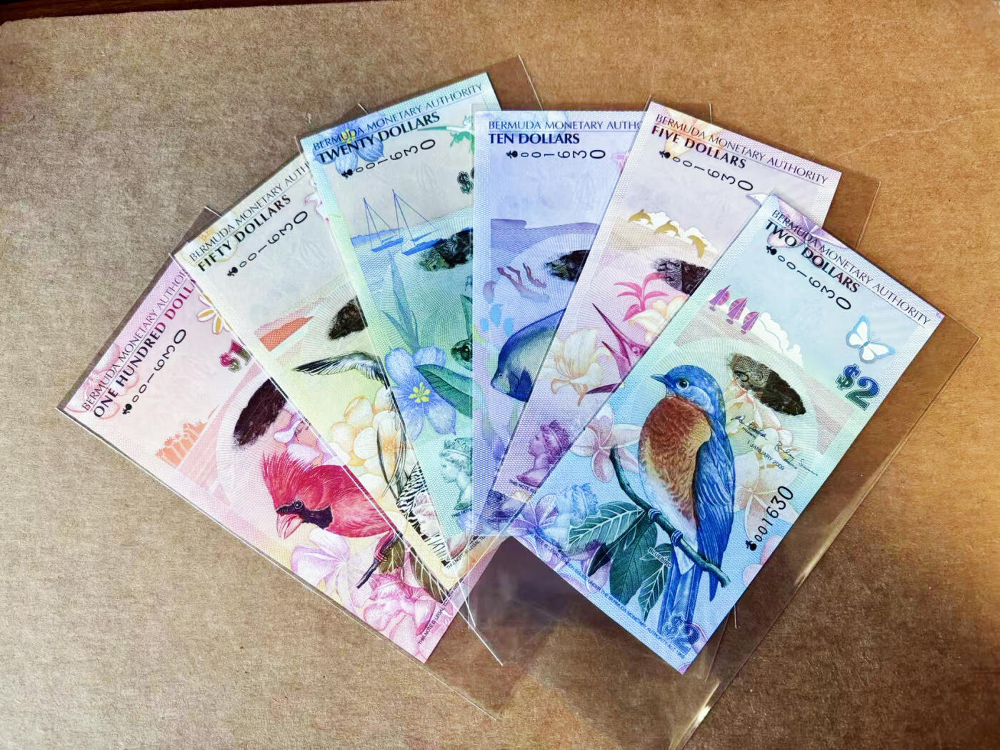 【Blue Auction】世界纸币精拍第754期——18级TOP拍卖/信誉/品质/专业/高效💫 【一组6张 洋葱冠全同1630小号 含获奖钞】百慕大 2009年2-100元 全新UNC