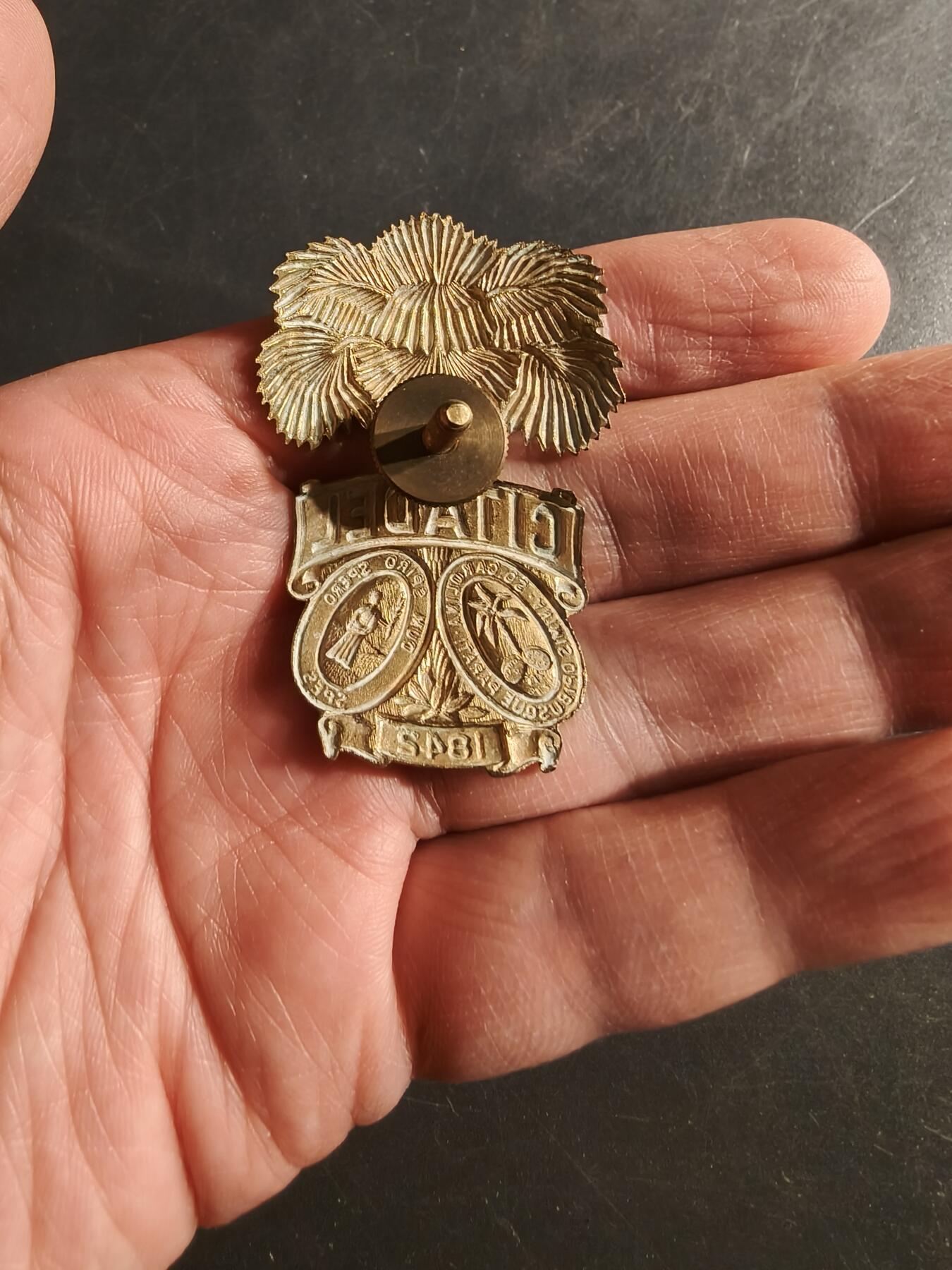 老王徽章第165期  美国南卡罗来纳军事学院大檐帽帽徽