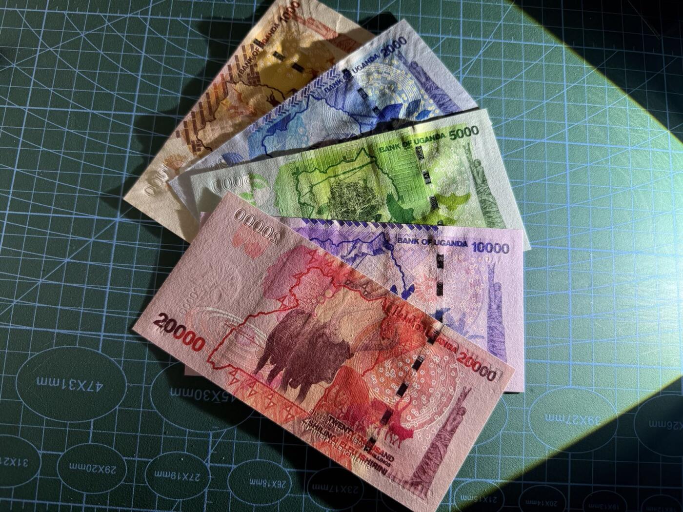 【炜奕收藏】，第五十一期