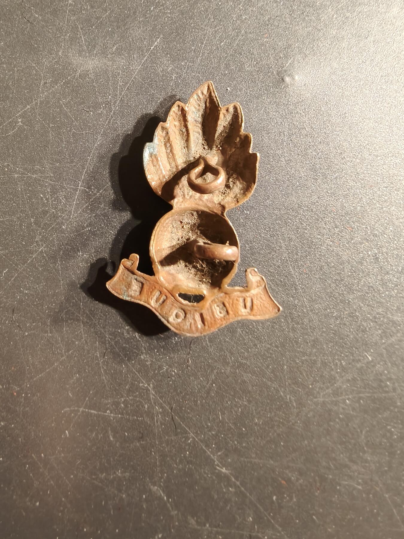 老王徽章第165期