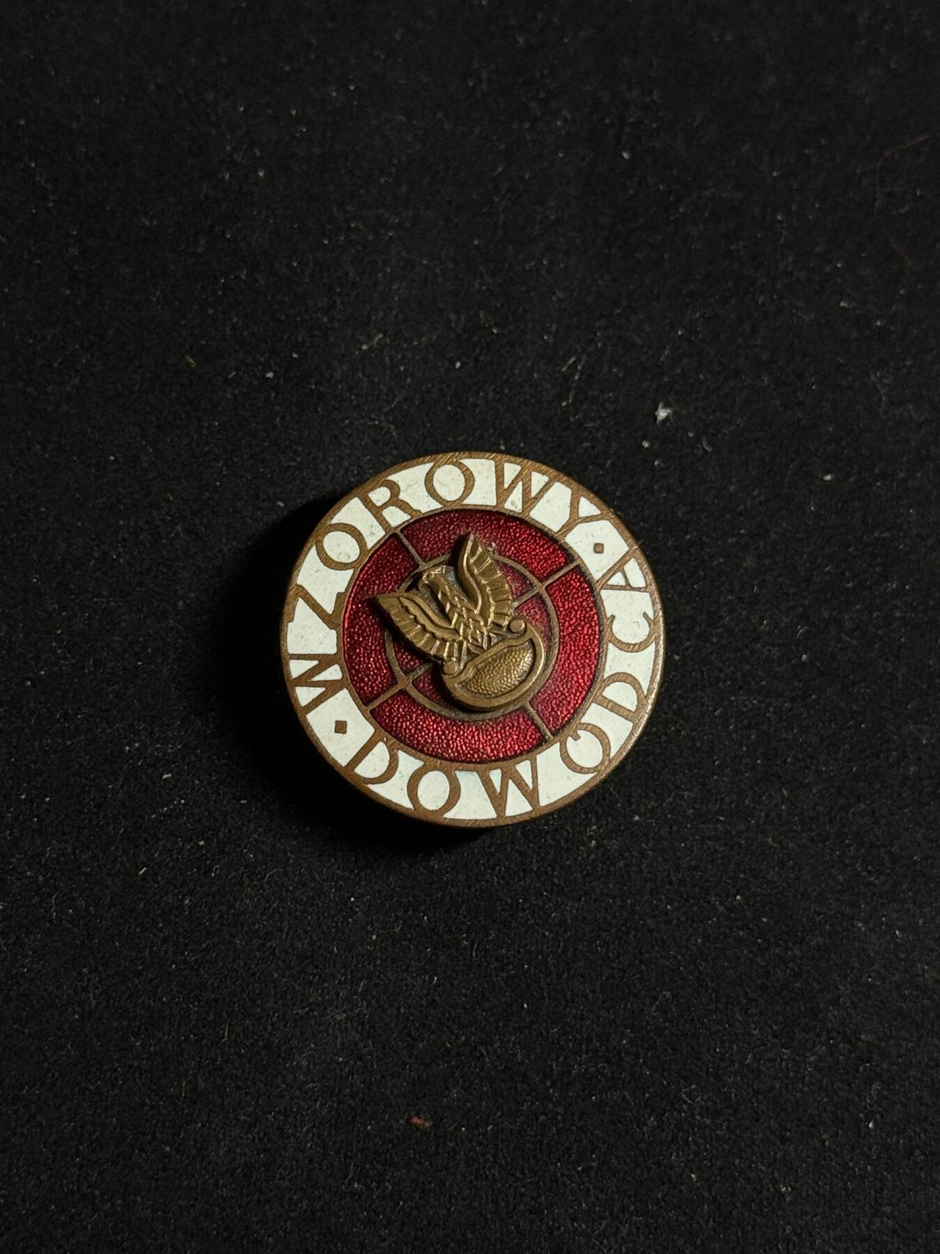 戎马世界章牌大赏第108期 波兰证章