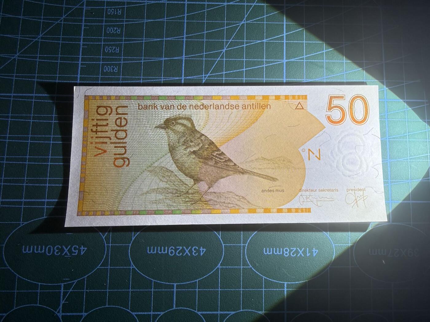 【炜奕收藏】，第五十一期