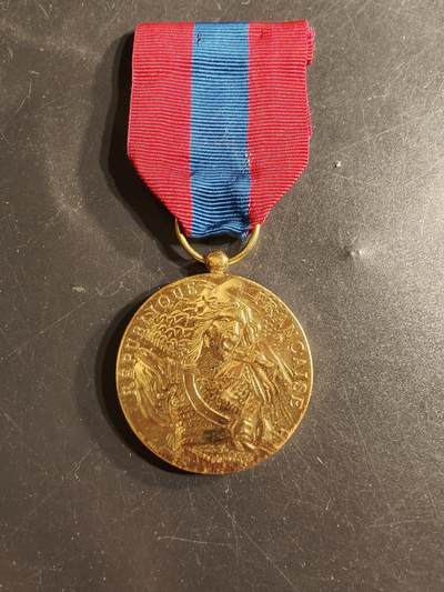 老王徽章第165期 -  法国金级国防服役奖章