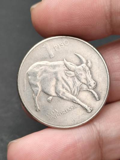 猩哥外币小铺➨【第203场】 - 菲律宾