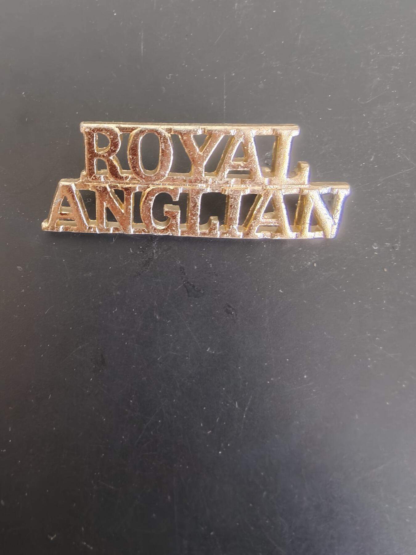 老王徽章第165期 英国皇家安立甘步兵团袖章    女王时期