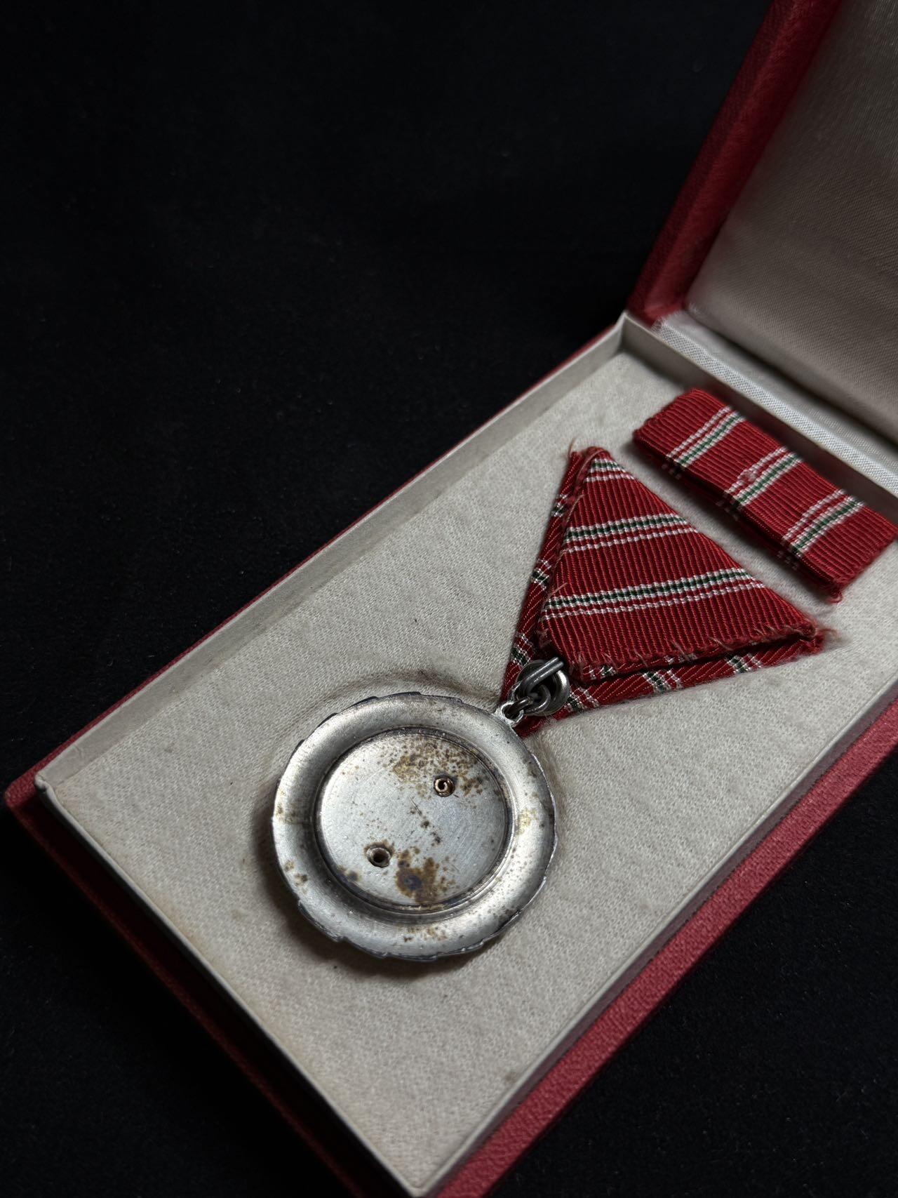 戎马世界章牌大赏第108期 匈牙利杰出服役奖章