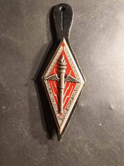 老王徽章第165期 -  法国陆军后备军官专业参谋学院证章