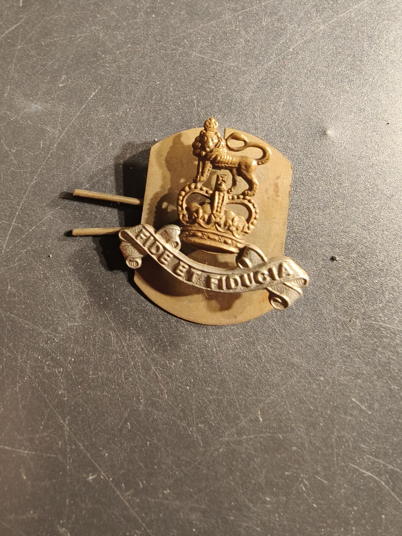 老王徽章第165期