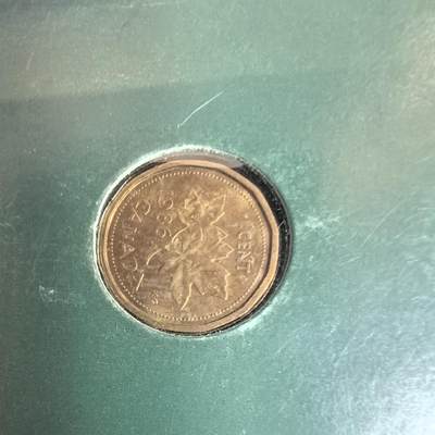 泡泡币外币第三十四场可代拍15038385335微信 - 加拿大原光硬币。