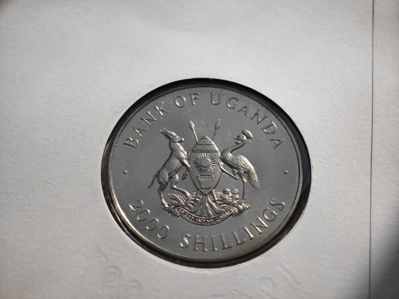 【淘币小摊】限时拍第八百零七拍  克朗币邮币封场  满百包邮可预留两周  周一统一发货 